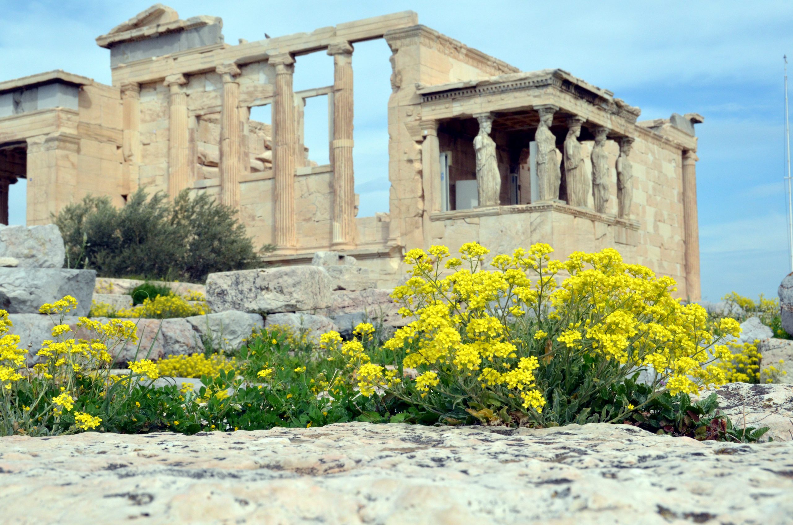 Ingang Akropolis  Welke Ingang Kiezen, Bereikbaarheid & Meer
